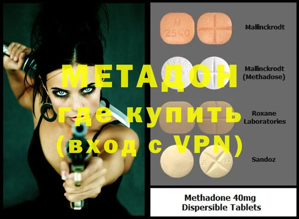 прущие грибы Михайловка
