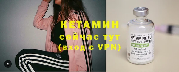 трава Ахтубинск
