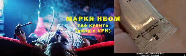 прущие грибы Михайловка