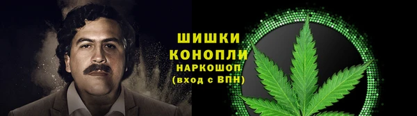 ГАЛЛЮЦИНОГЕННЫЕ ГРИБЫ Аша