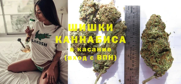 прущие грибы Михайловка
