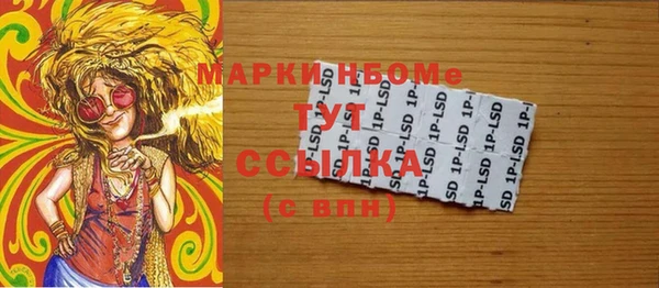прущие грибы Михайловка