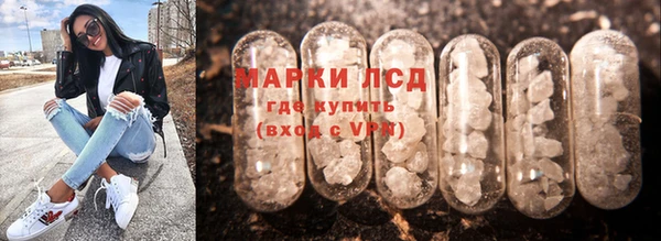 прущие грибы Михайловка