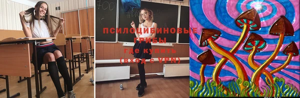 сатива Мегион