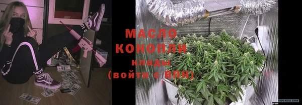 прущие грибы Михайловка